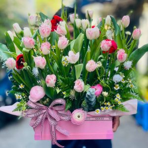 Hoa tulip canh kép phối mao lương, tana mẫu 65