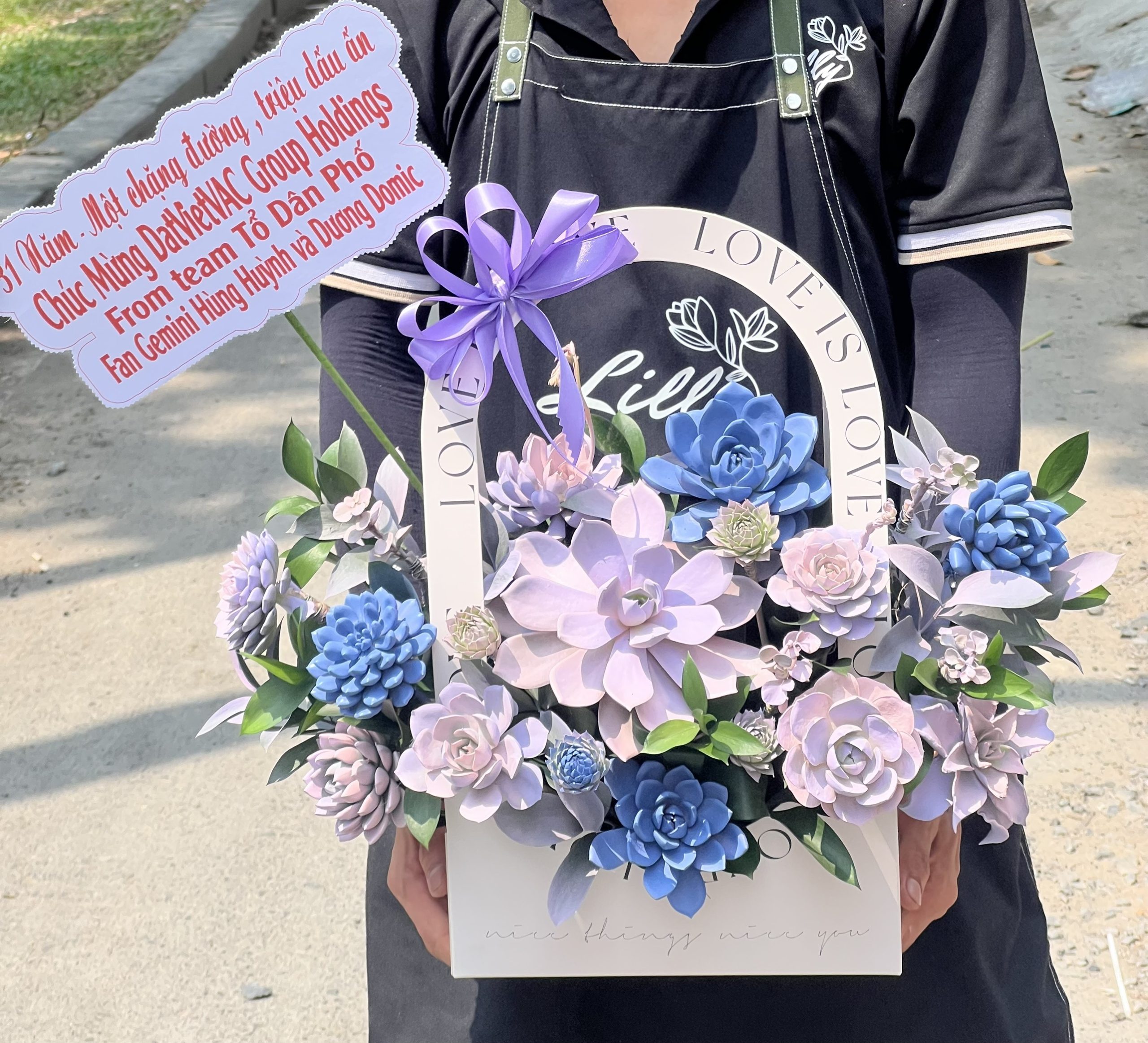 hoa sen da tone tim 354 gia 500000 scaled