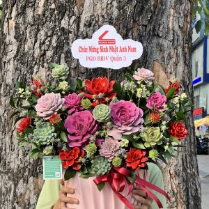 hoa sen da 348 - gia 1050000