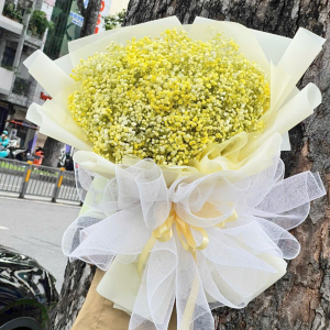 hoa bo 303 - gia 1200000