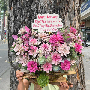 hoa sen da 272 - gia 1150000