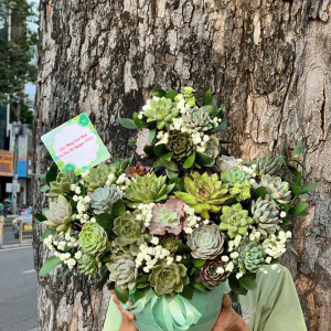 hoa sen da 277 - gia 1000000