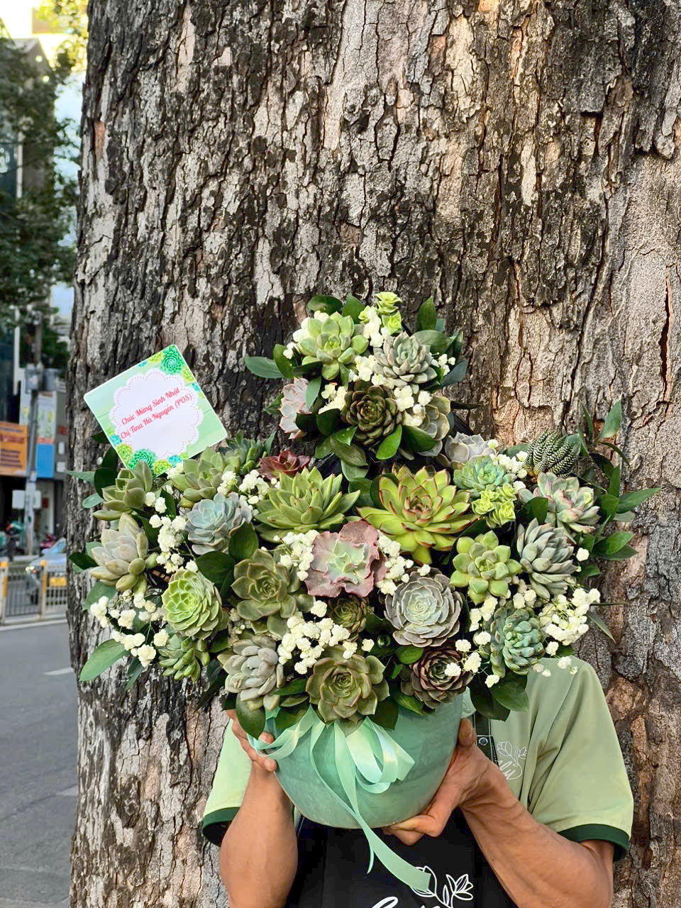 hoa sen da 277 gia 1000000