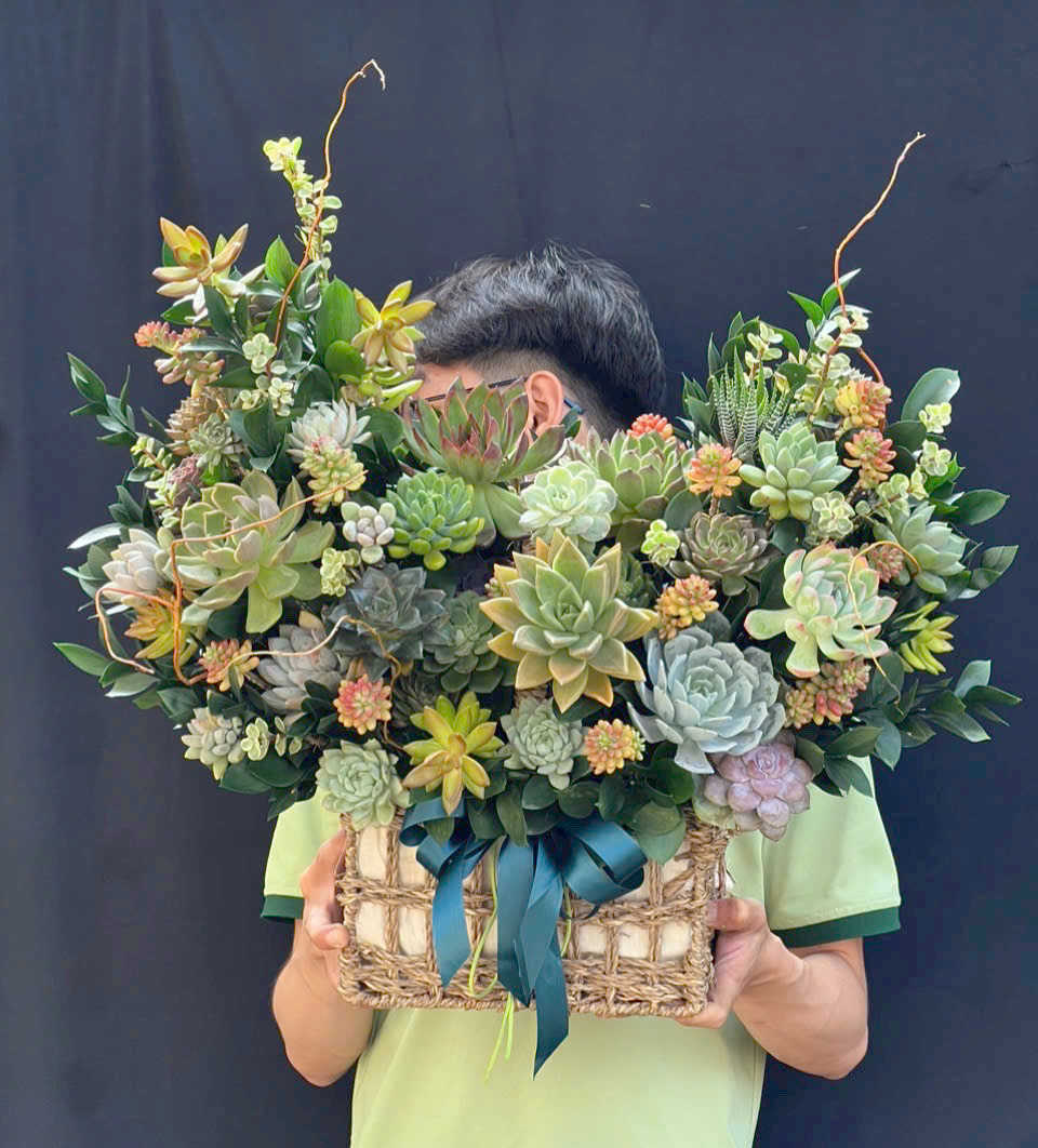 hoa sen da 290 gia 1500000