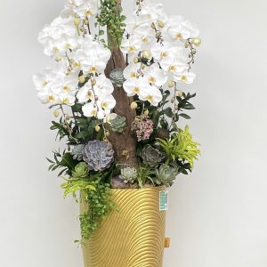 lan ho diep trang 339 - 4000000