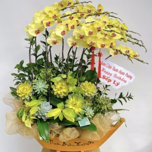 lan ho diep tim 355 - 4000000