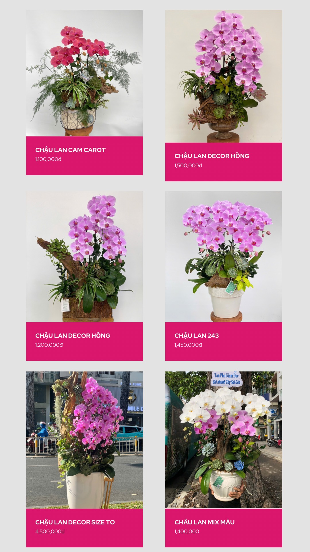 z7118579732616_151e27fd7514e8b92b0df1bc652f950e