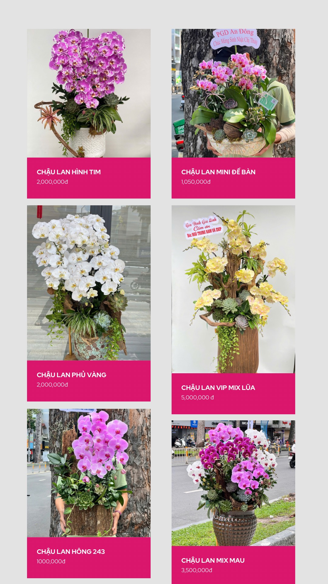 z7118579732935_f1396dbeedfd9ea53fa7f99d17006828