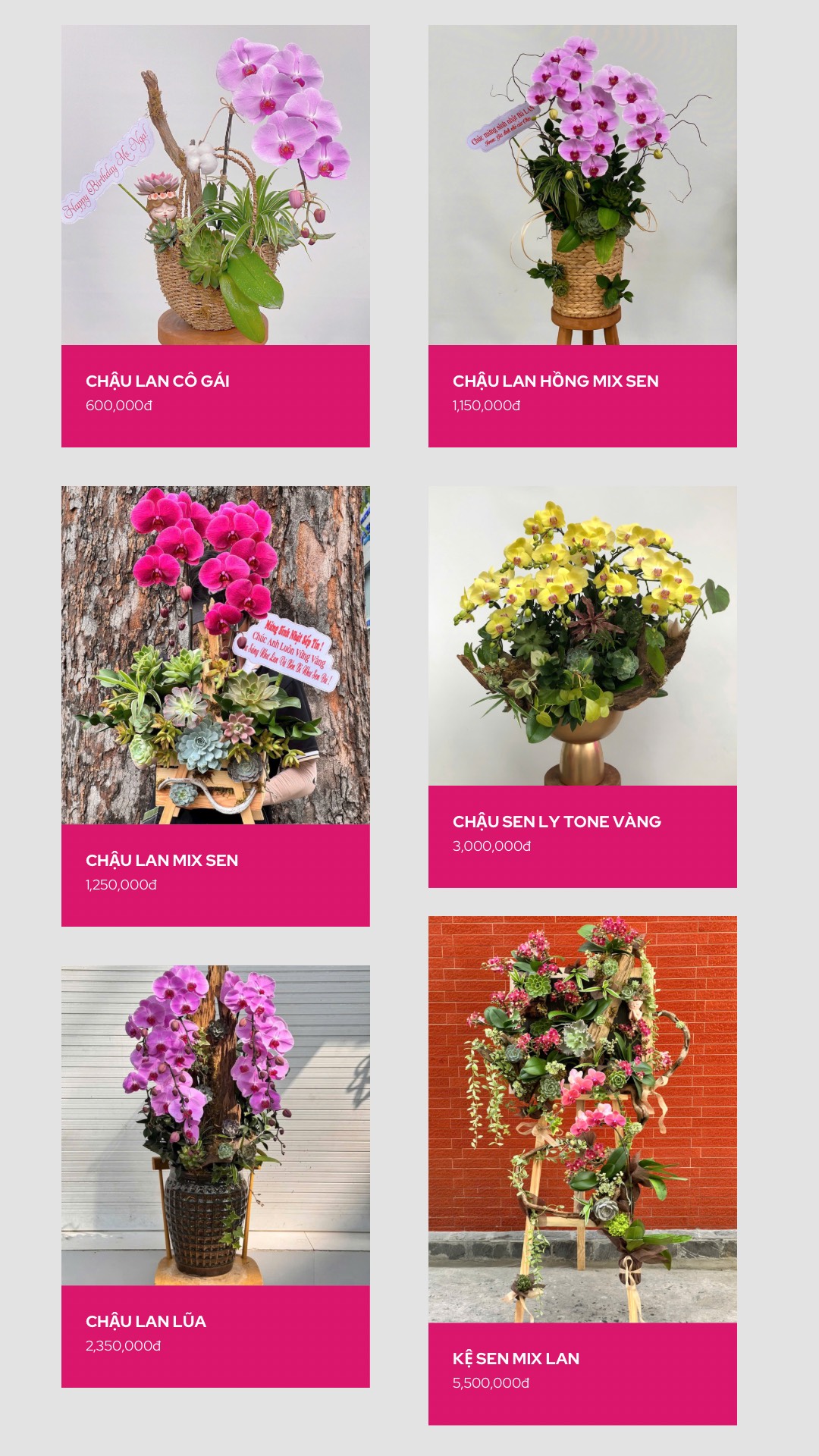 z7118579743425_4aae0ca0de9eedd76f232190b7817231