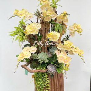 hoa lan ho diep 374- gia 5500000