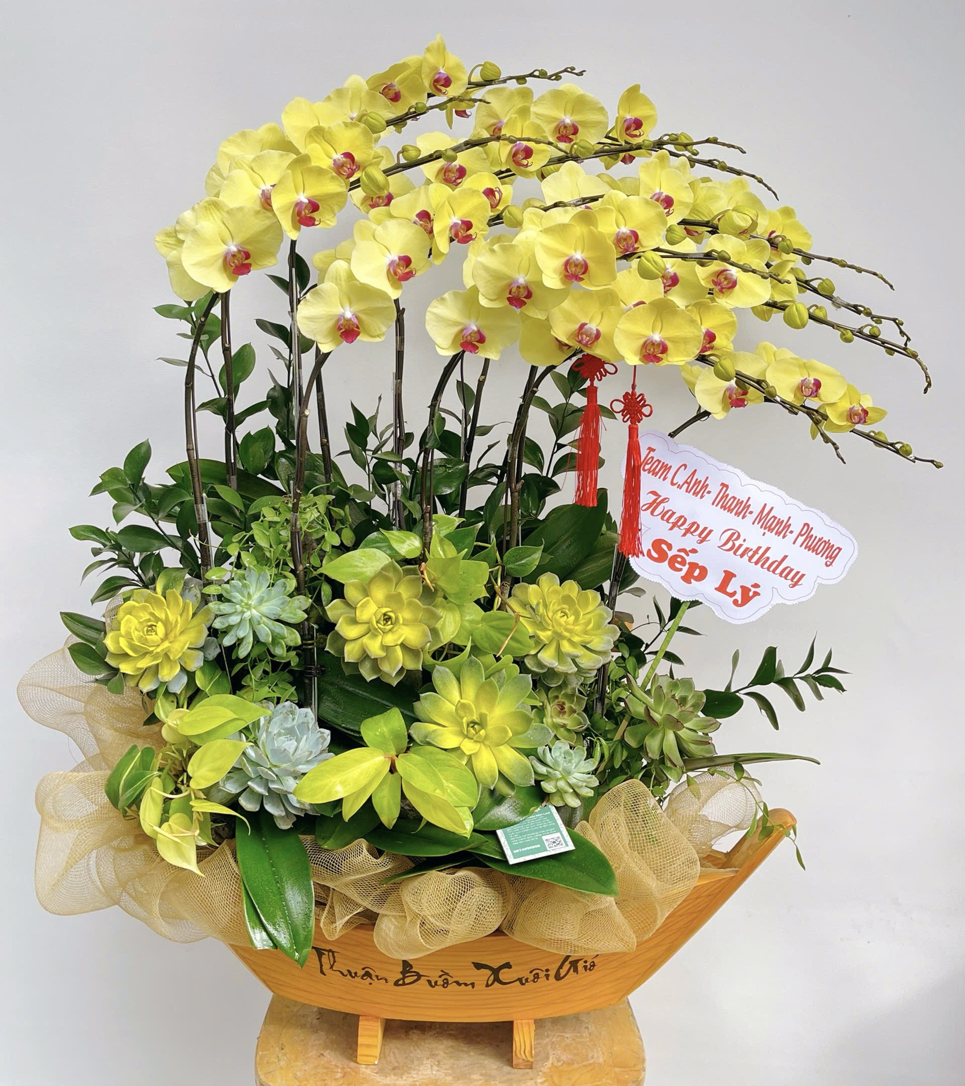 hoa lan ho diep 387 gia 4000000