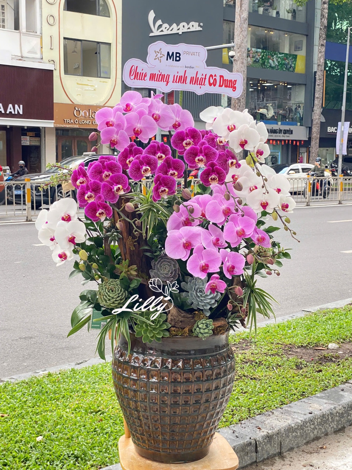 hoa lan ho diep 390 gia 3500000