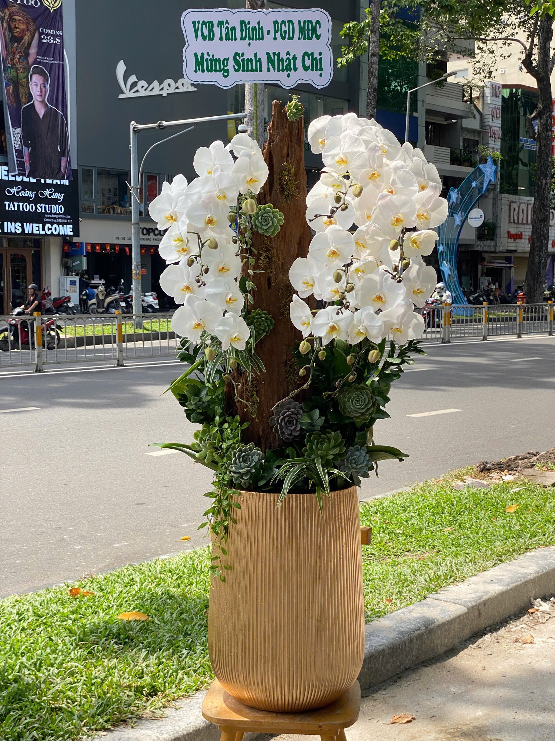 hoa lan ho diep 393 gia 3500000