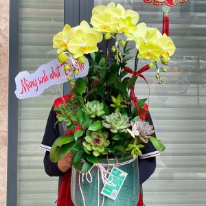 hoa lan ho diep 402- gia 1000000