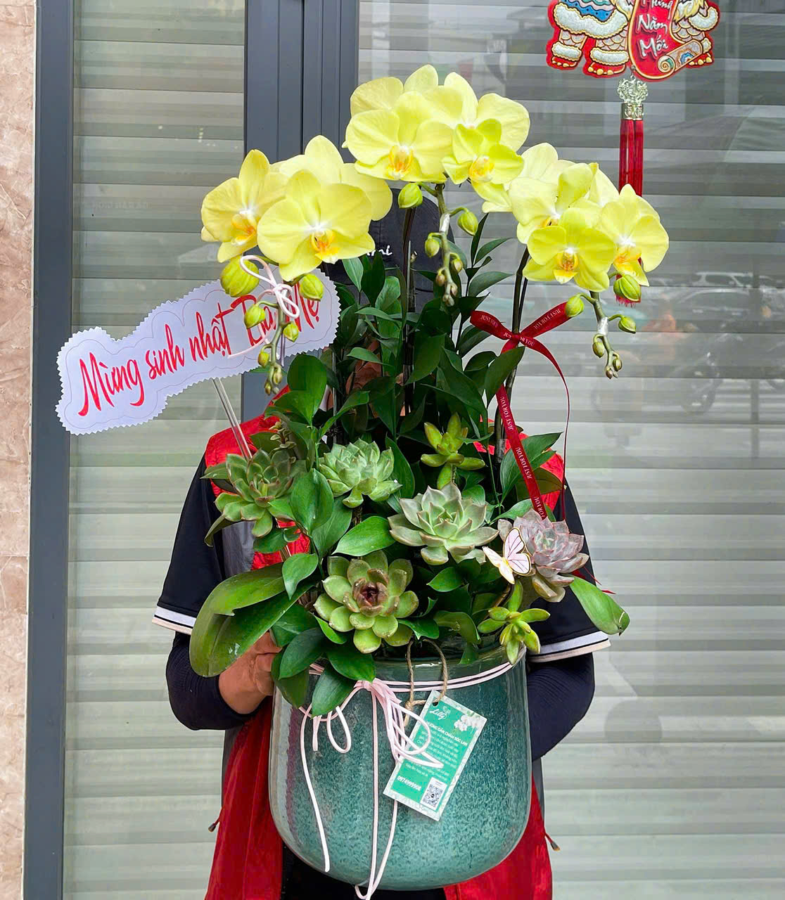 hoa lan ho diep 402 gia 1000000