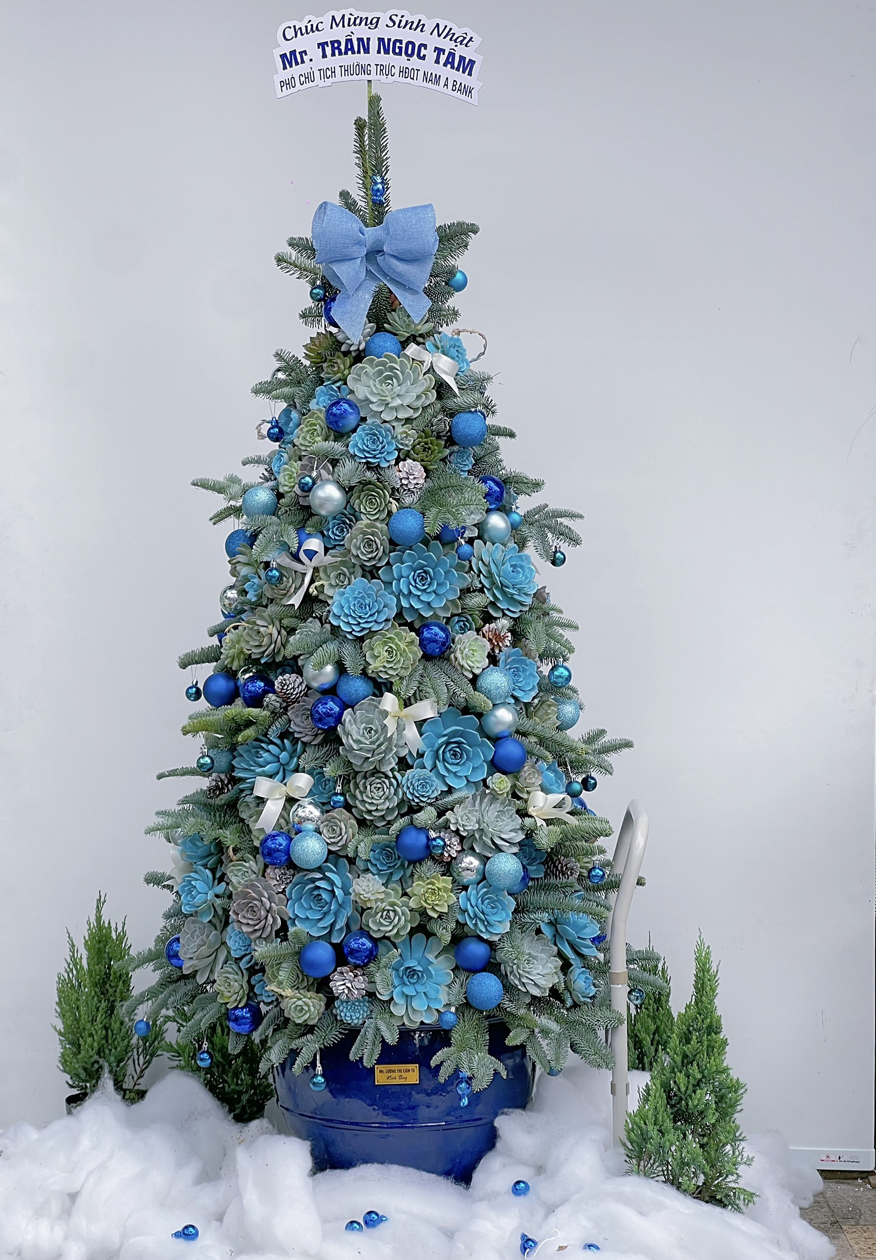 Thông Noel Mix Hoa Sen Đá Mẫu 412 1 Thong Noel Mix Sen Da 421 15000000 2