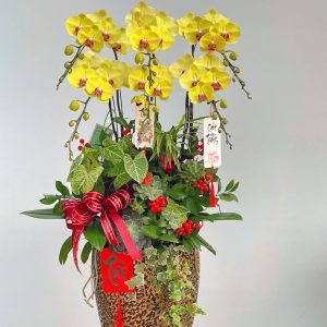 hoa sen da 416 - 1800000