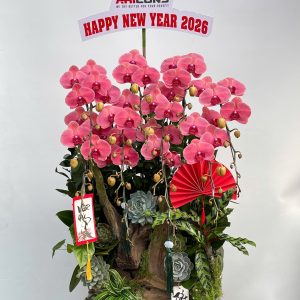 Hoa lan ho diep do 432 - 4400000