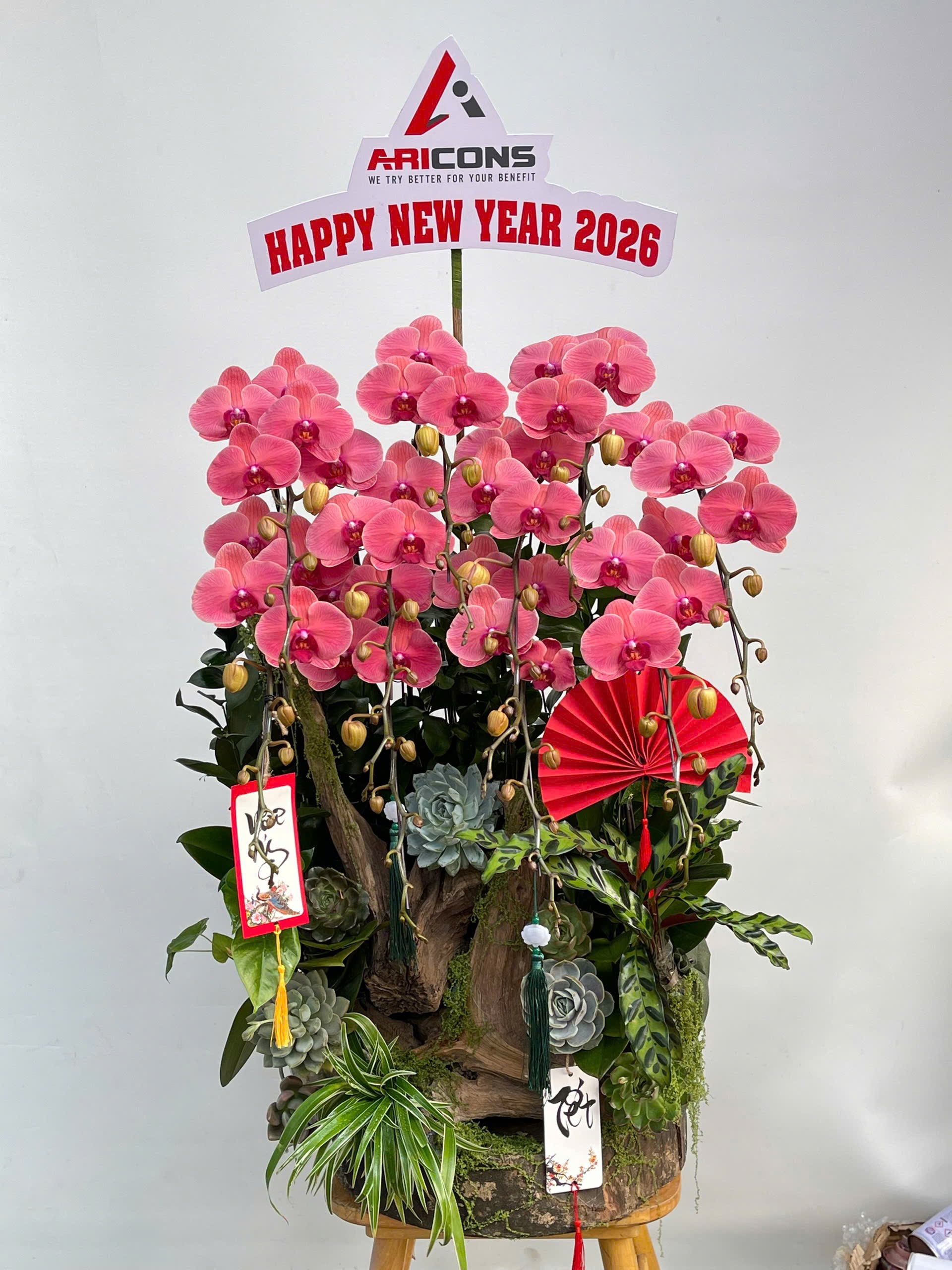 Hoa lan ho diep do 432 4400000