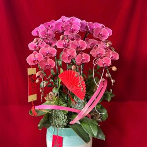 Hoa lan ho diep hong 437 - 1800000