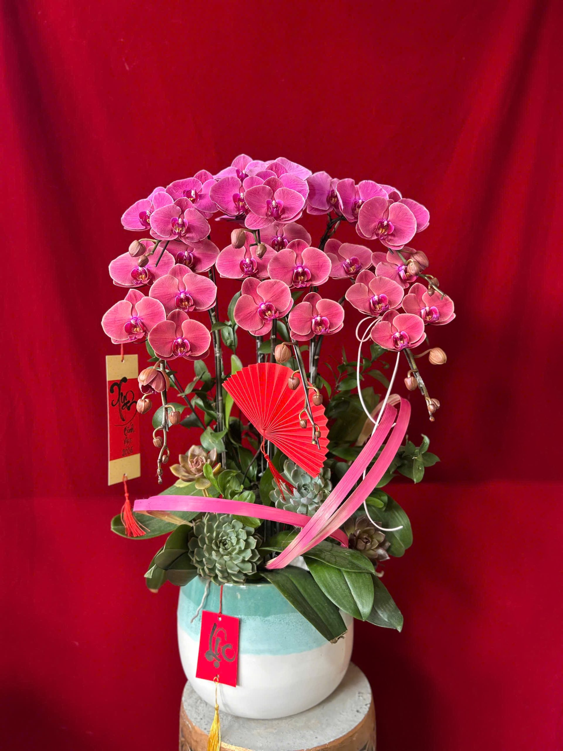 Hoa lan ho diep hong 437 1800000 scaled