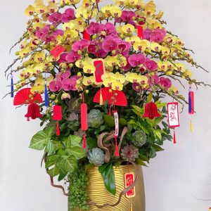 Hoa lan ho diep mix tim vang 431 - 15500000