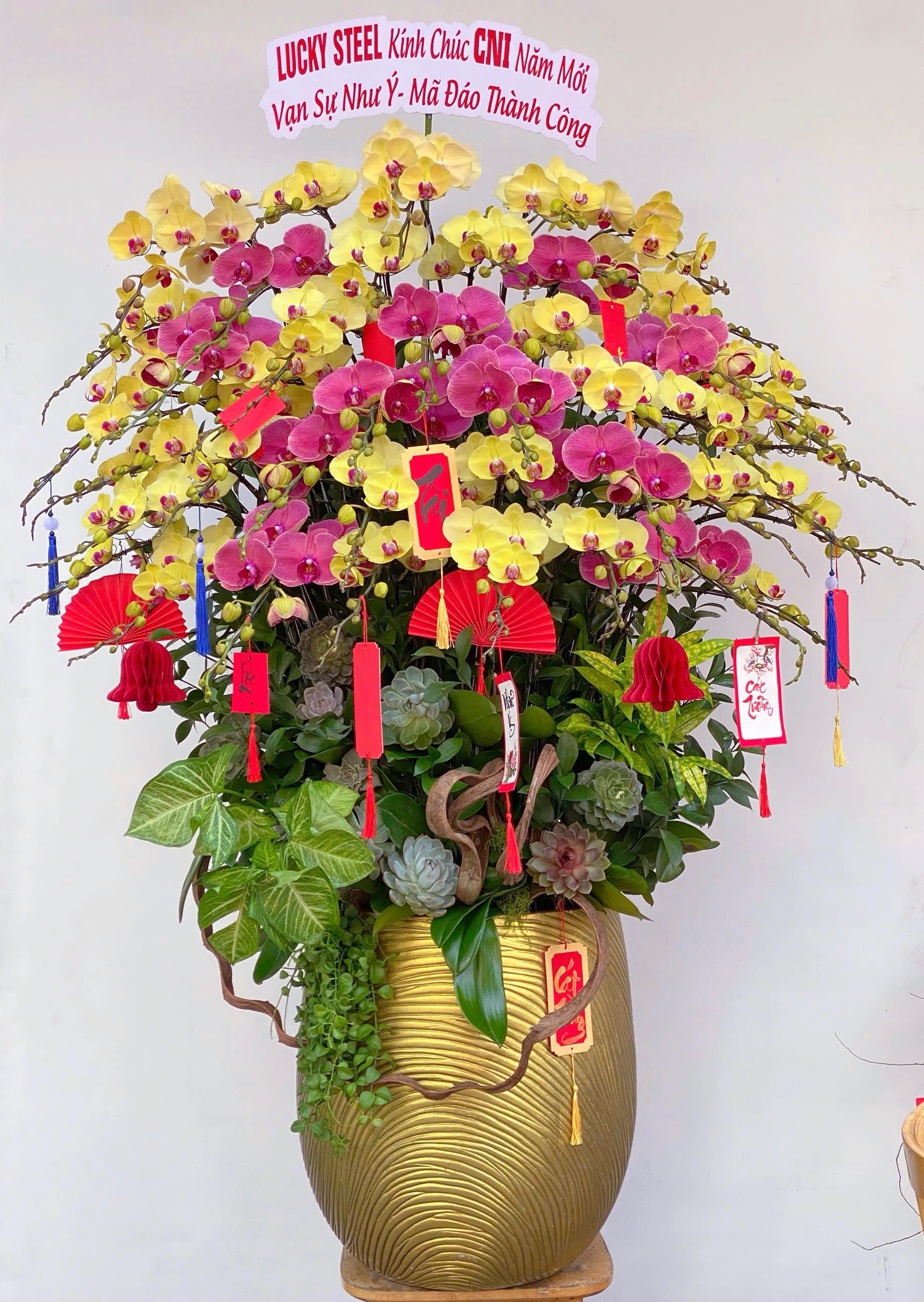 Hoa lan ho diep mix tim vang 431 15500000