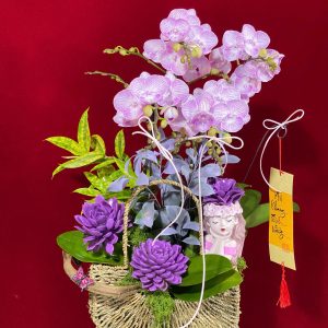 Hoa lan ho diep tim 436 - 1250000