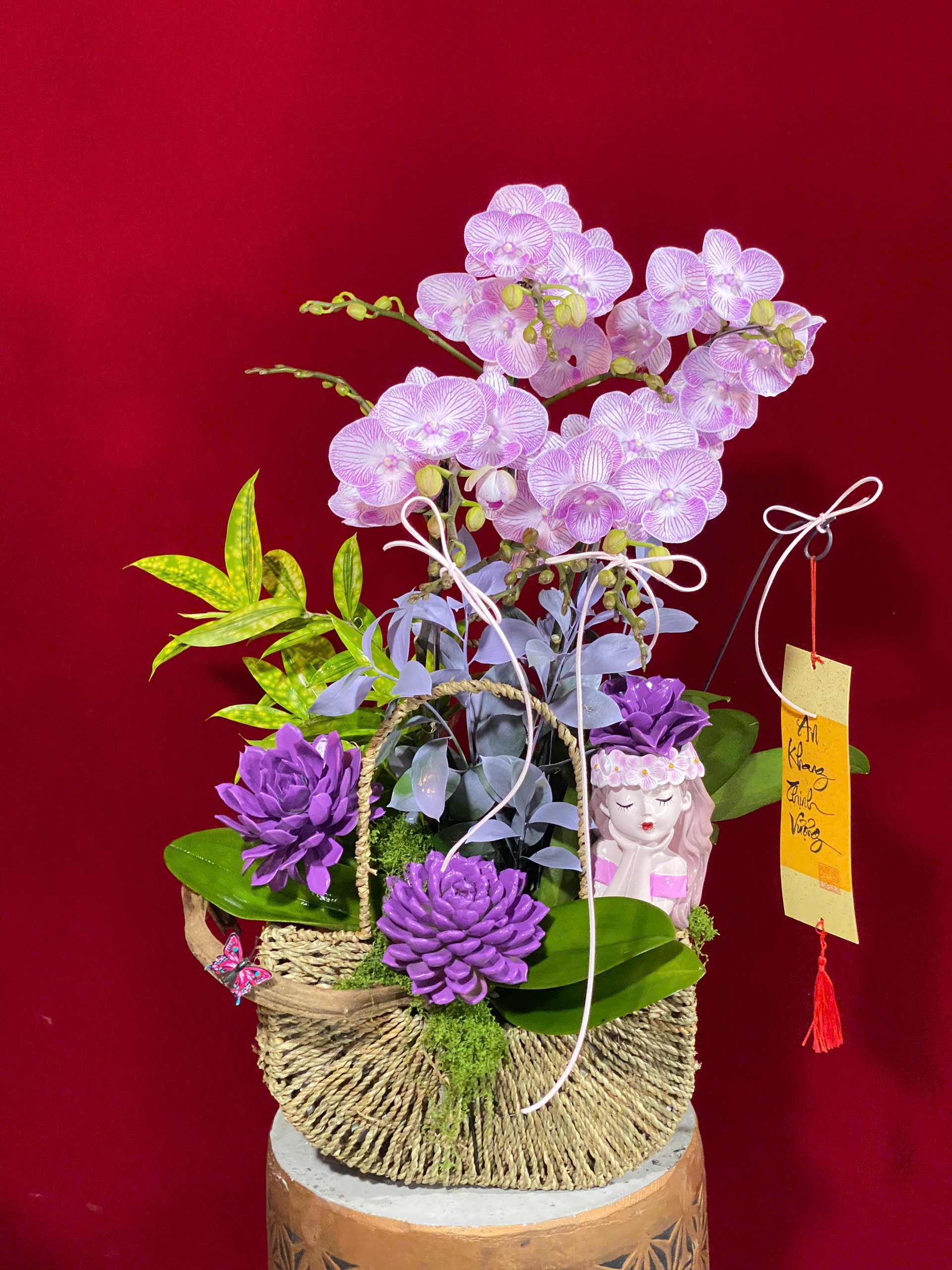 Hoa lan ho diep tim 436 1250000