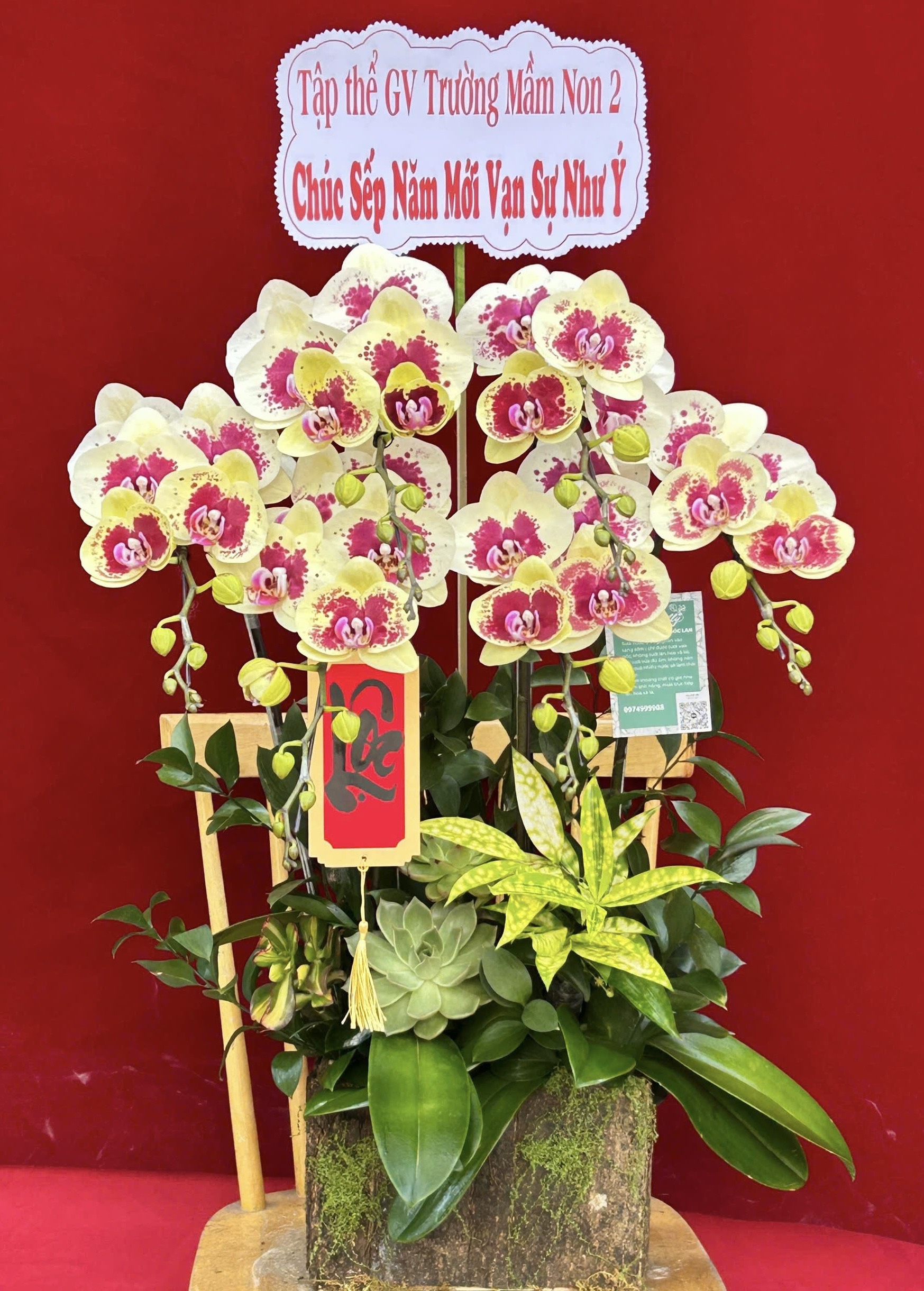 Hoa lan ho diep vang do 434 1200000