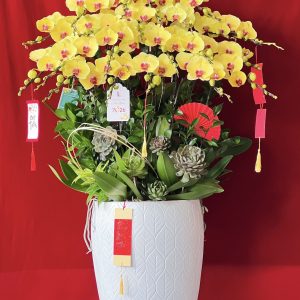 Hoa lan ho diep vang mau 426 - 7000000