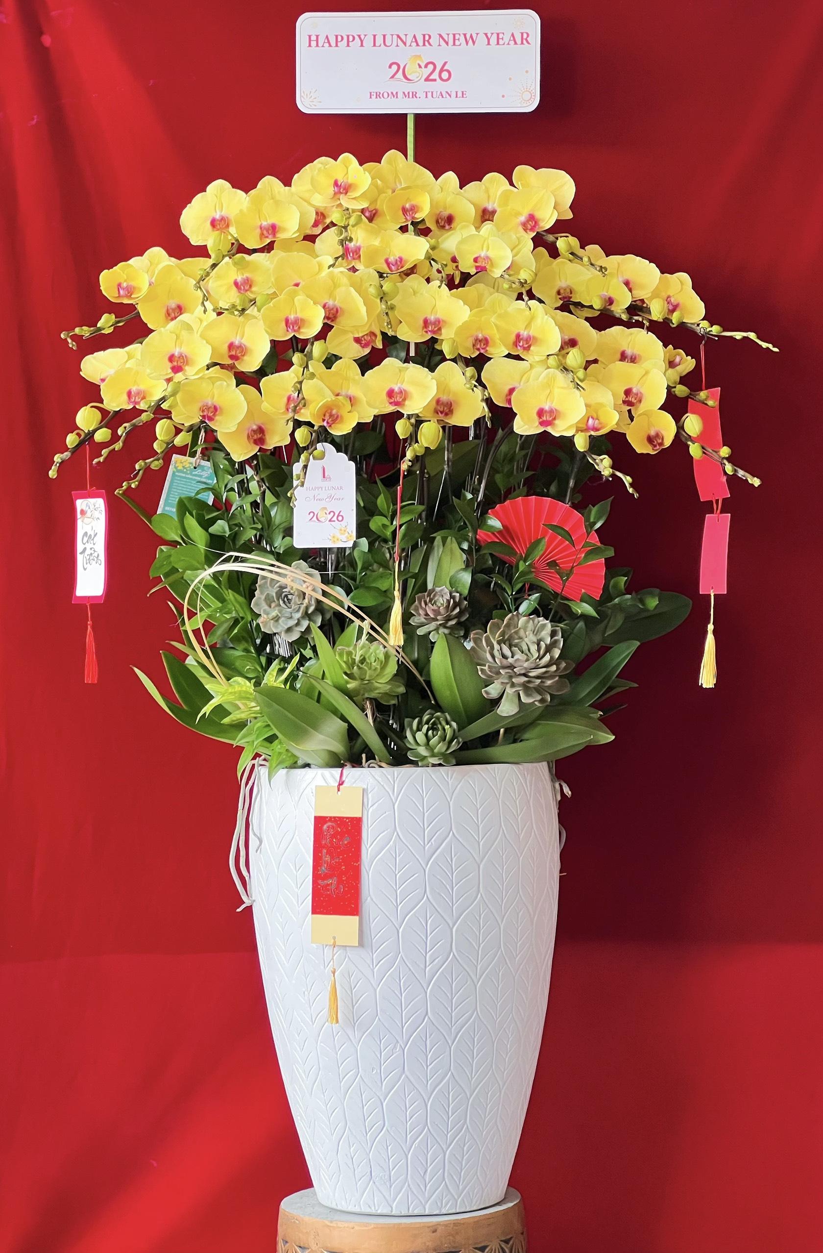 Hoa lan ho diep vang mau 436 7000000